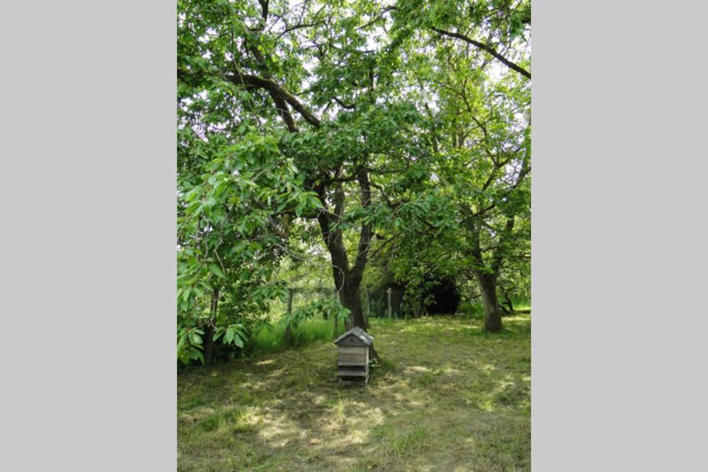 Miller'S Farm. Cottage On The Auhtie For 2 Hem-Hardinval المظهر الخارجي الصورة